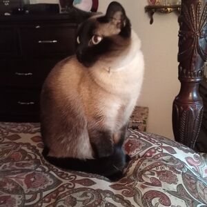 Offers Welcome Anytime